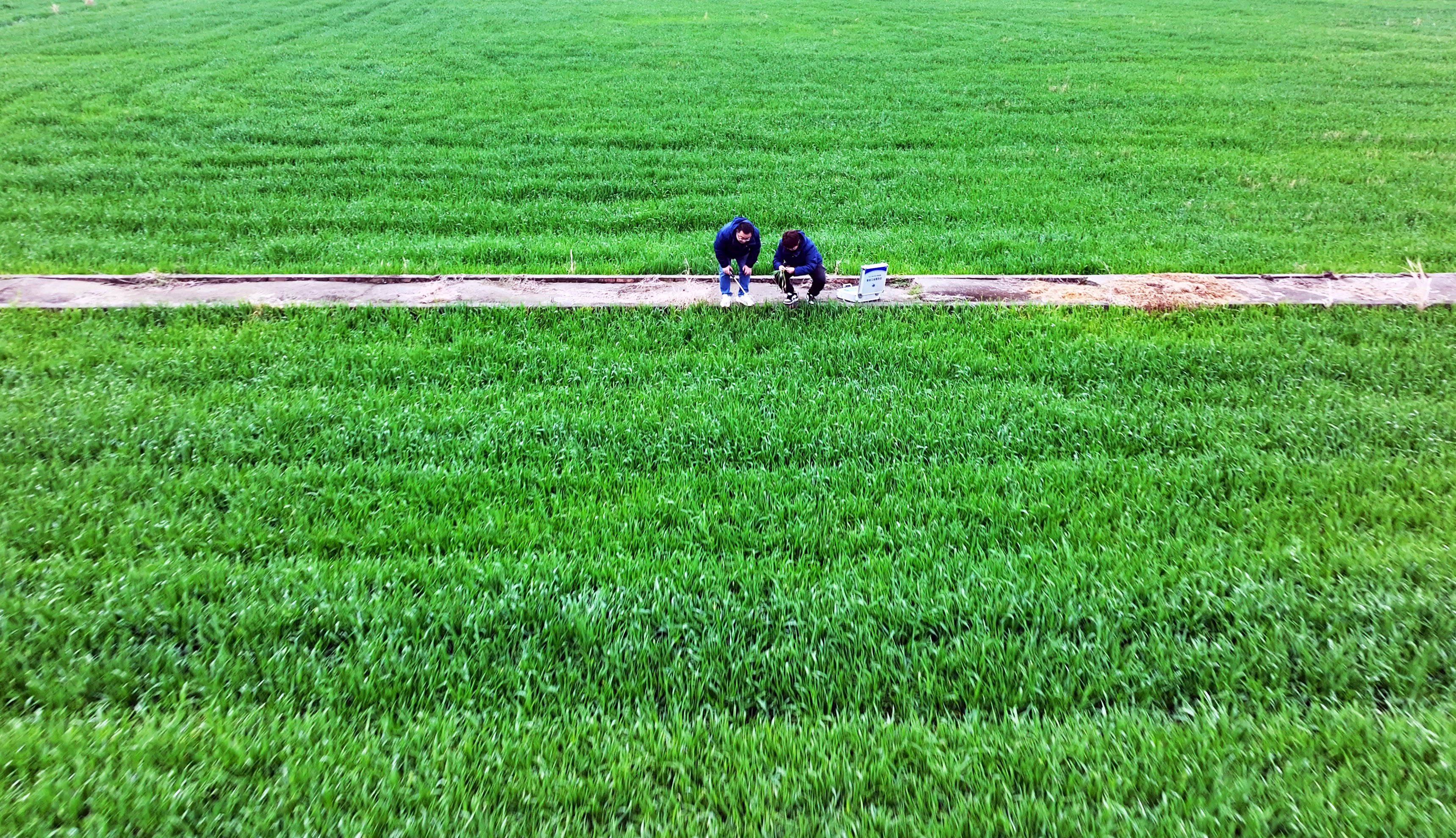 服務春耕：農化服務當先鋒添動力