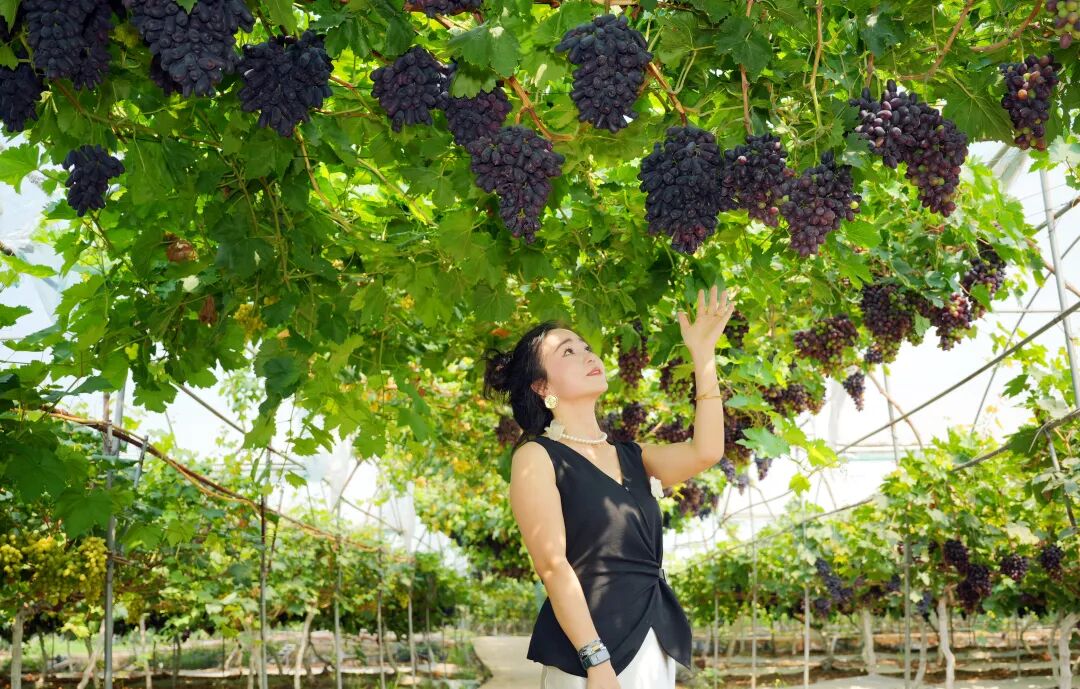 點開豐收密碼   共享豐收喜悅